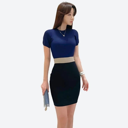 Elegant Color-Block Bodycon Dresses