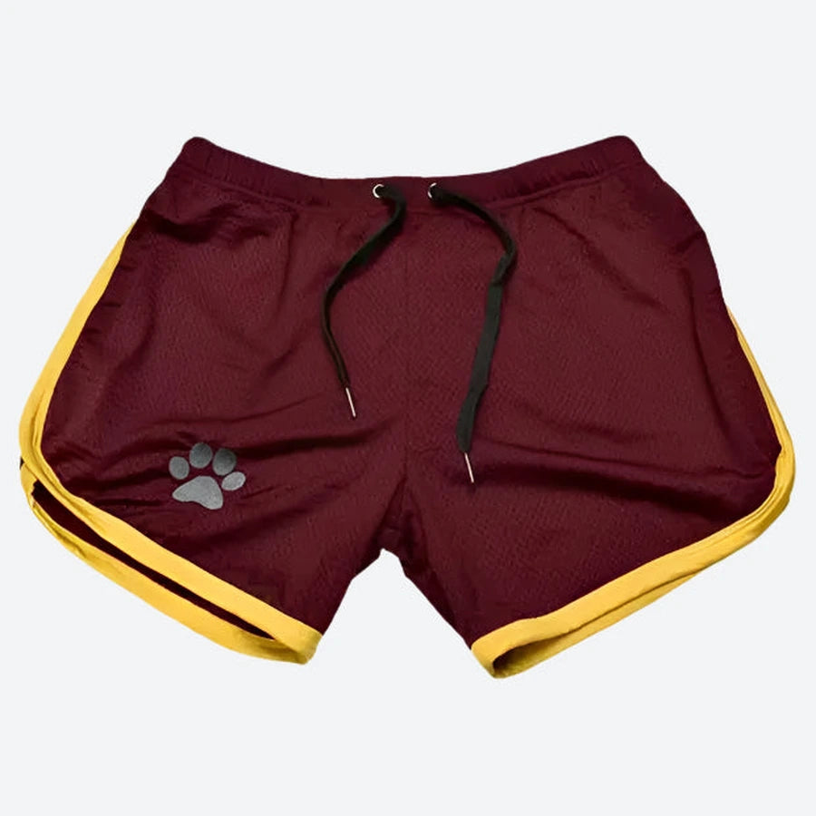 Mesh Elastic Drawstring Athletic Shorts