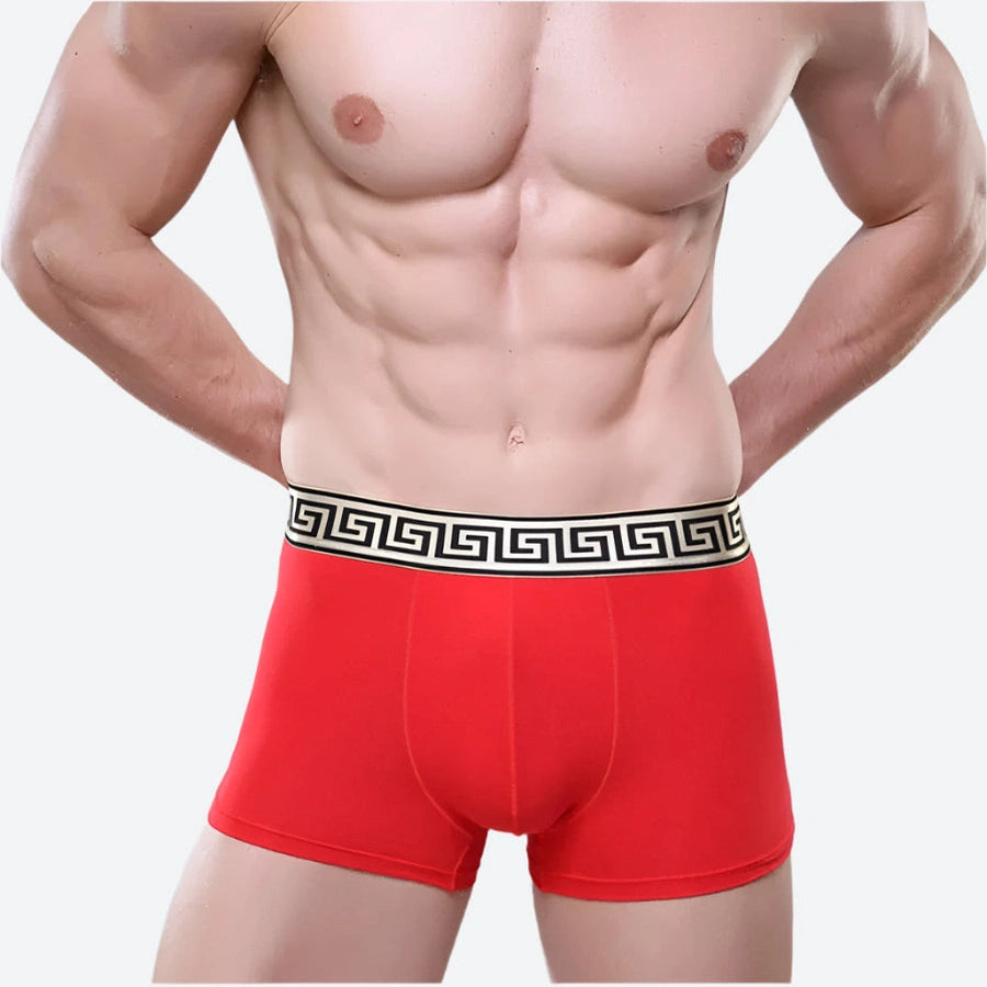 Stretch Fit Greek Pattern Boxer Shorts