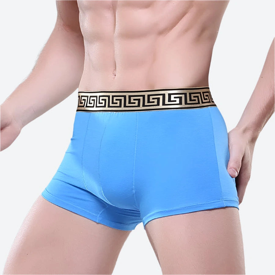 Stretch Fit Greek Pattern Boxer Shorts