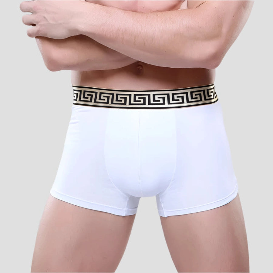 Stretch Fit Greek Pattern Boxer Shorts