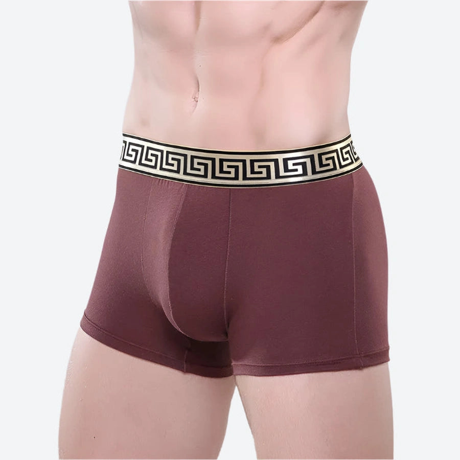 Stretch Fit Greek Pattern Boxer Shorts