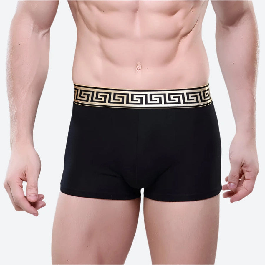 Stretch Fit Greek Pattern Boxer Shorts