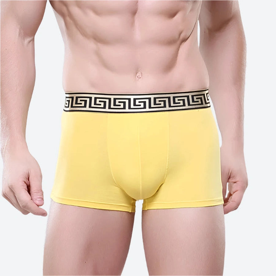 Stretch Fit Greek Pattern Boxer Shorts